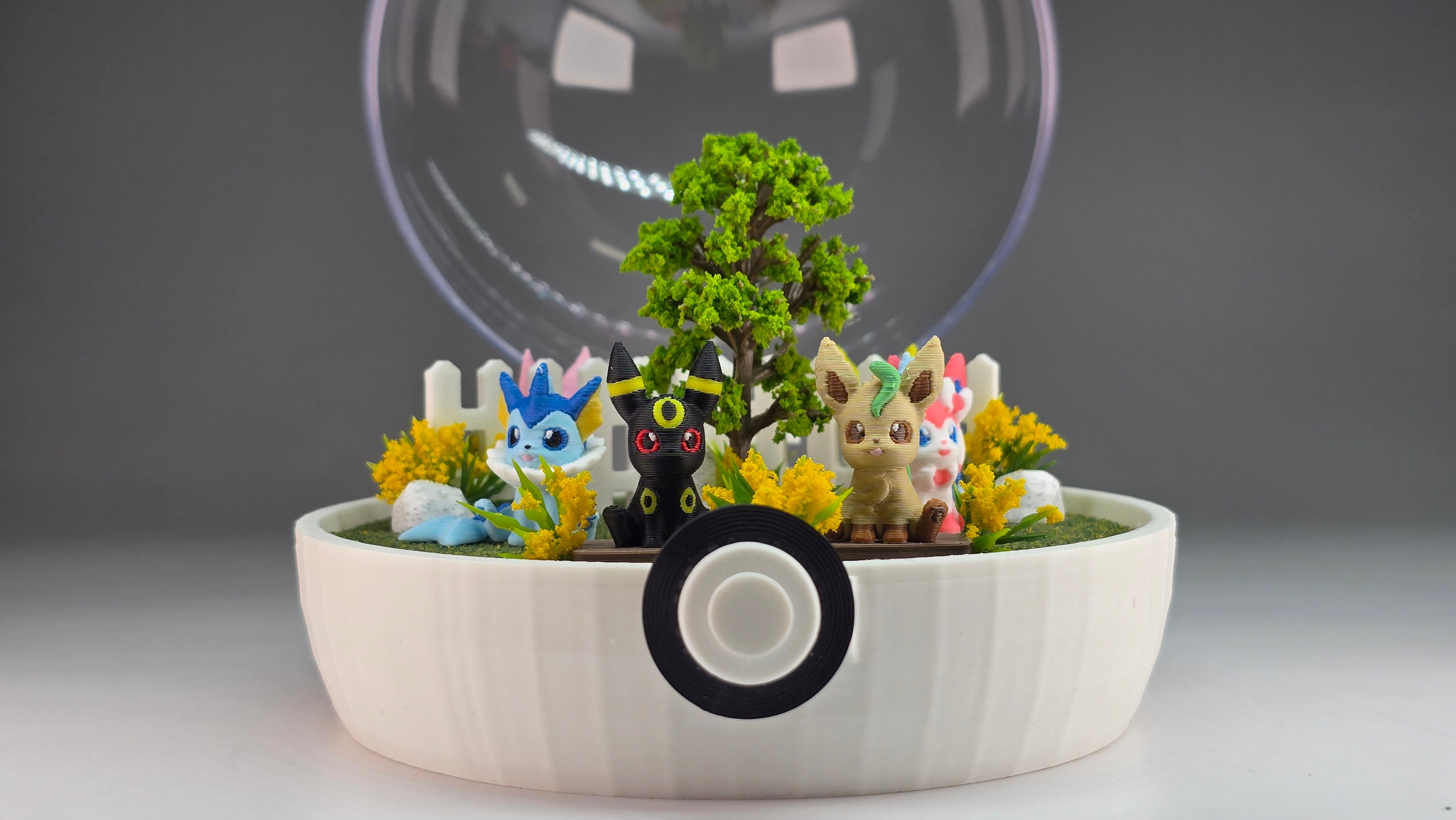 Terrarium Kits
